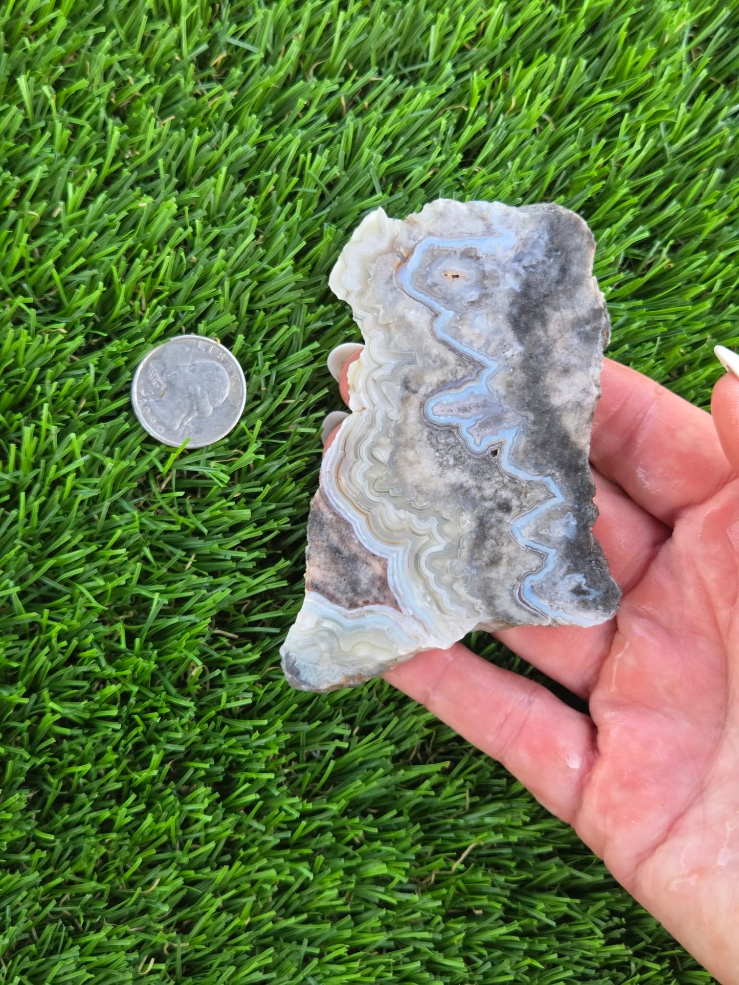 Gray Banded Crazy Lace Agate Slabs O717–723