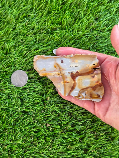 Banded Brecciated Jasper/Agate Slabs L557-562