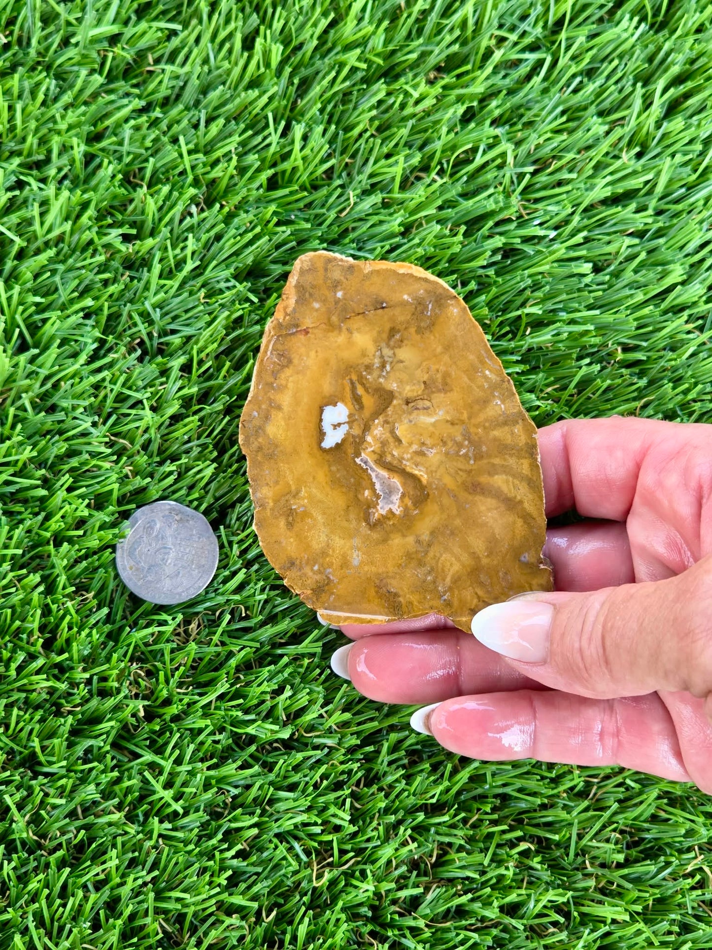 Mustard Picture Jasper Slabs N673-677