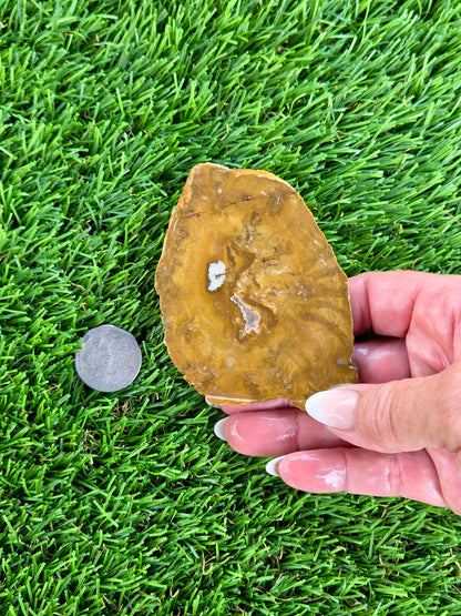 Mustard Picture Jasper Slabs N673-677