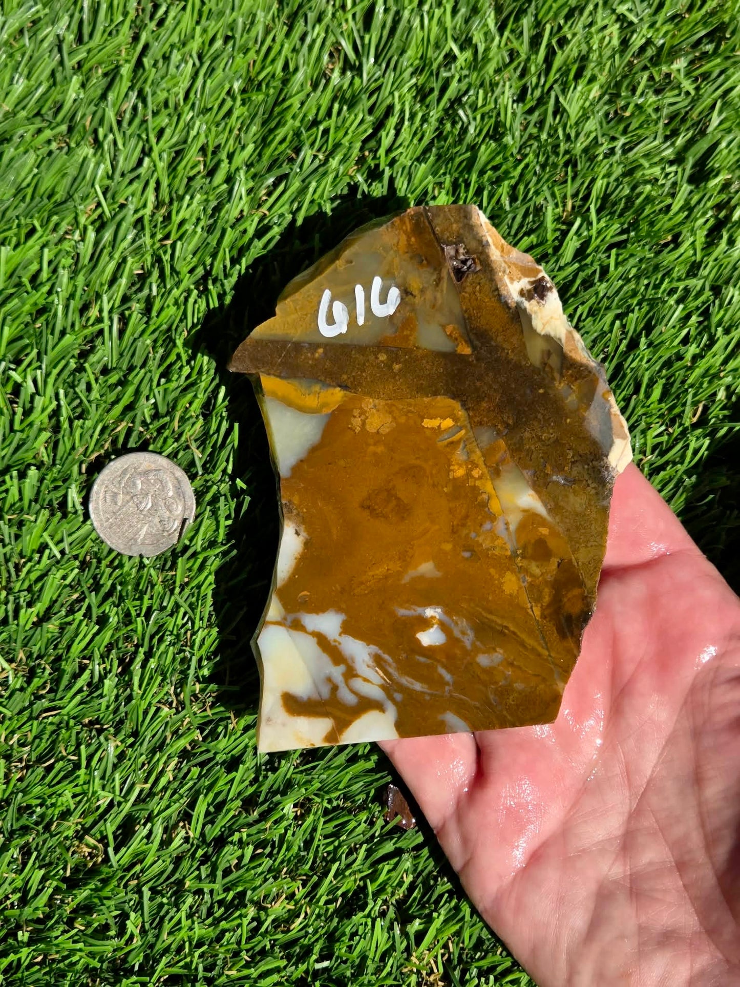Oregon Polka Dot Jasper Slabs M612-617