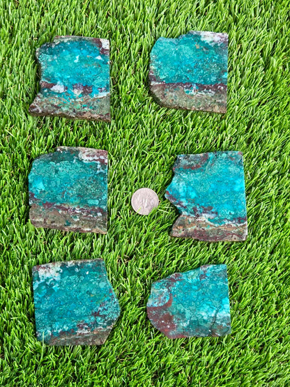 Globe Chrysocolla & Malachite Slabs V985–990