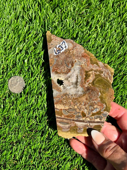 Green Mushroom Rhyolite M630-638