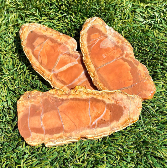 Utah Banded Rhyolite