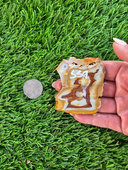 Banded Brecciated Jasper/Agate Slabs L557-562