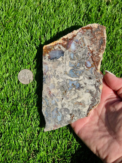 Camp Verde Agate J503-505