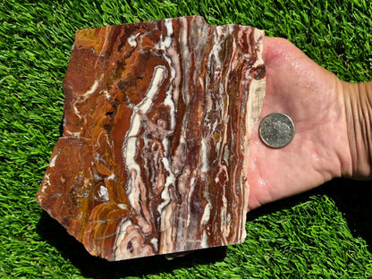 Banded Brecciated Jasper with Agate Slabs O686–689