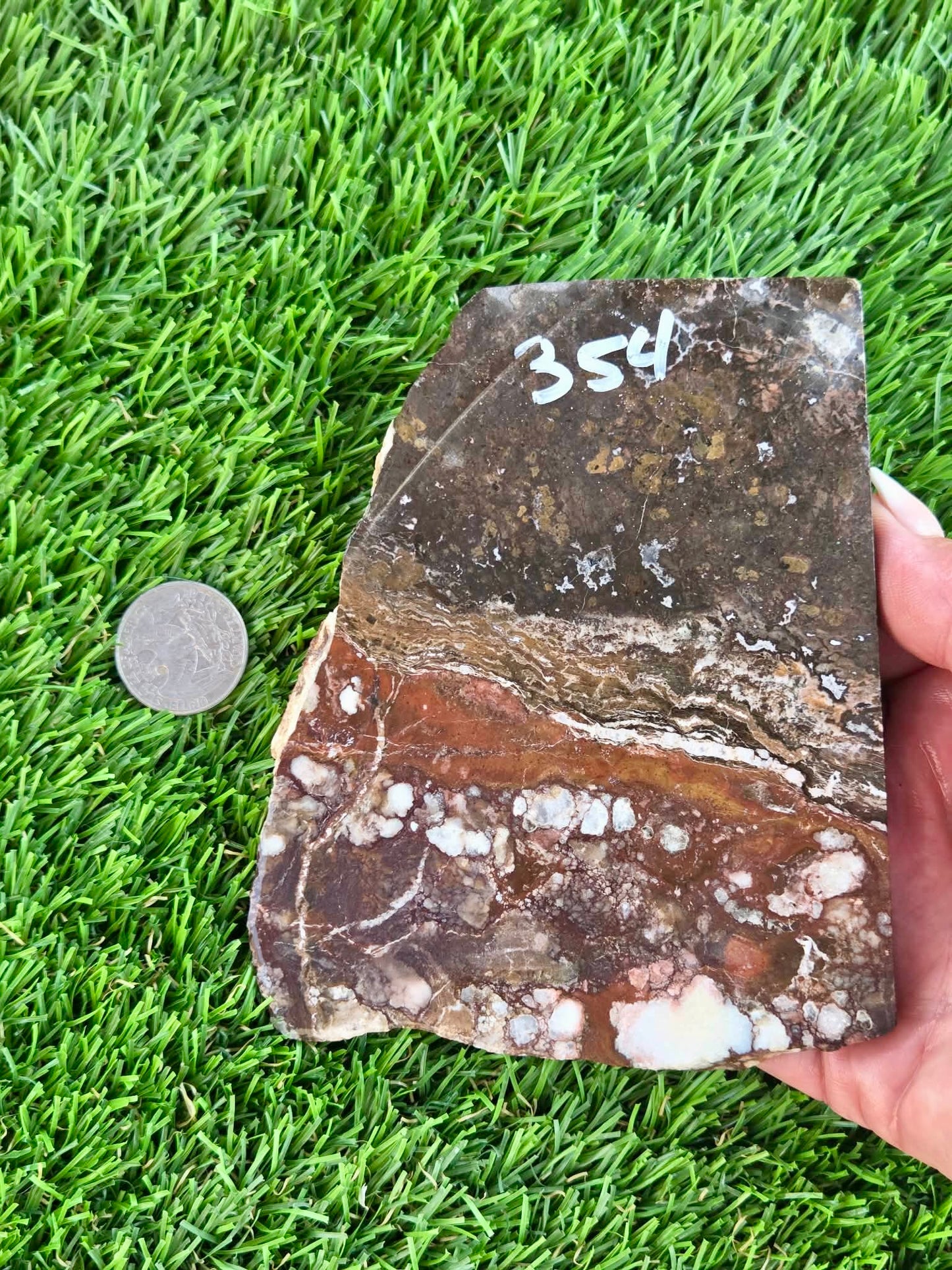 Wild Horse Jasper Slabs G354-359