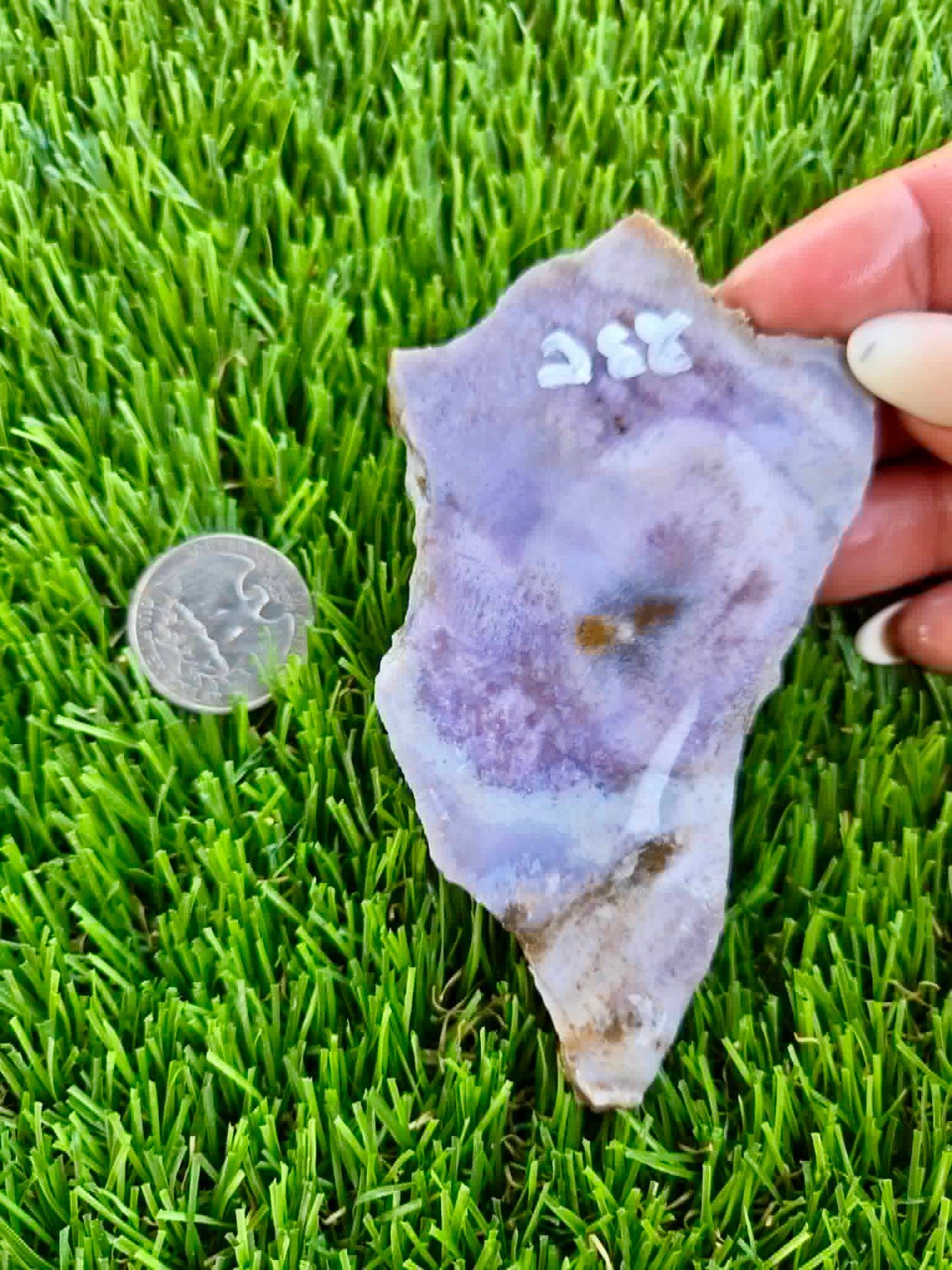 Purple Burro Creek Agate Slab F287-292