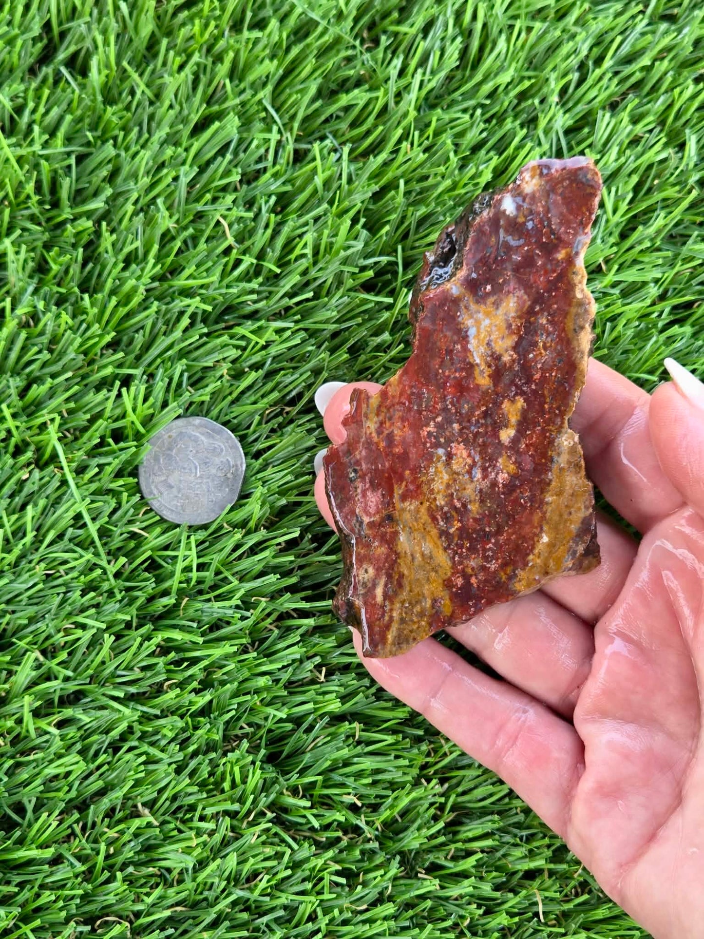 Red & Mustard Jasper Slabs N652-657