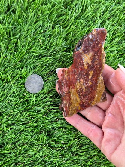Red & Mustard Jasper Slabs N652-657