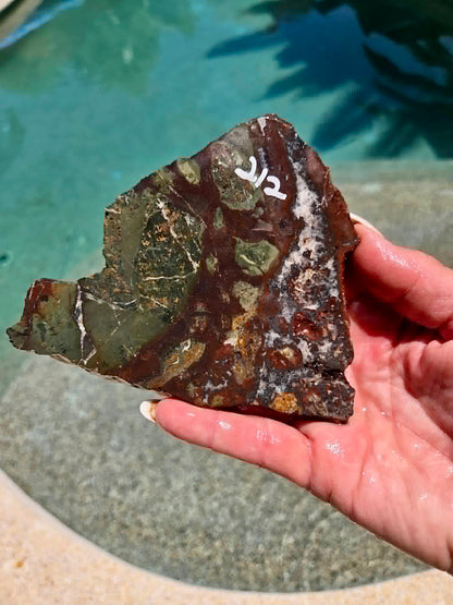 Australian Rainforest Rhyolite Jasper Slab 209-212