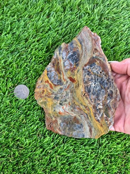 Rainbow Petrified Wood Slabs K516-517