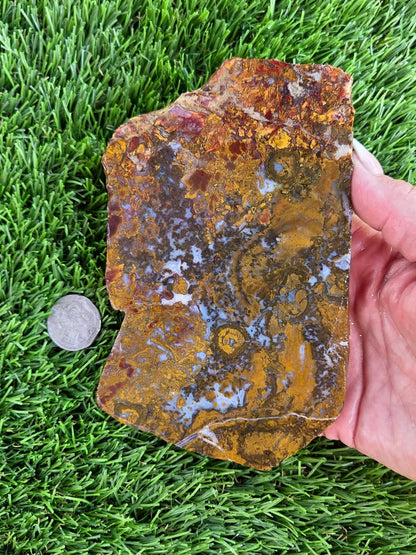 Camp Verde Moss Agate Slabs M599-601