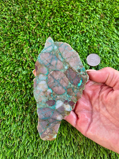 Desert Mosaic Puddingstone with Malachite Slabs A46-49
