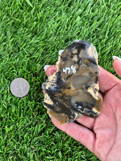 Utah Petrified Wood Slabs J474-479