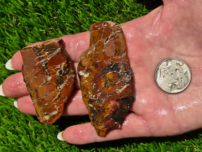 Brecciated Jasper Slab Bundle SB74