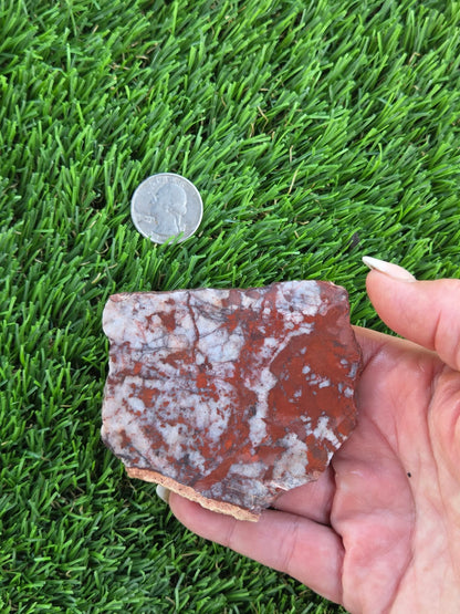Brecciated Red Jasper with Quartz Slabs O727–730