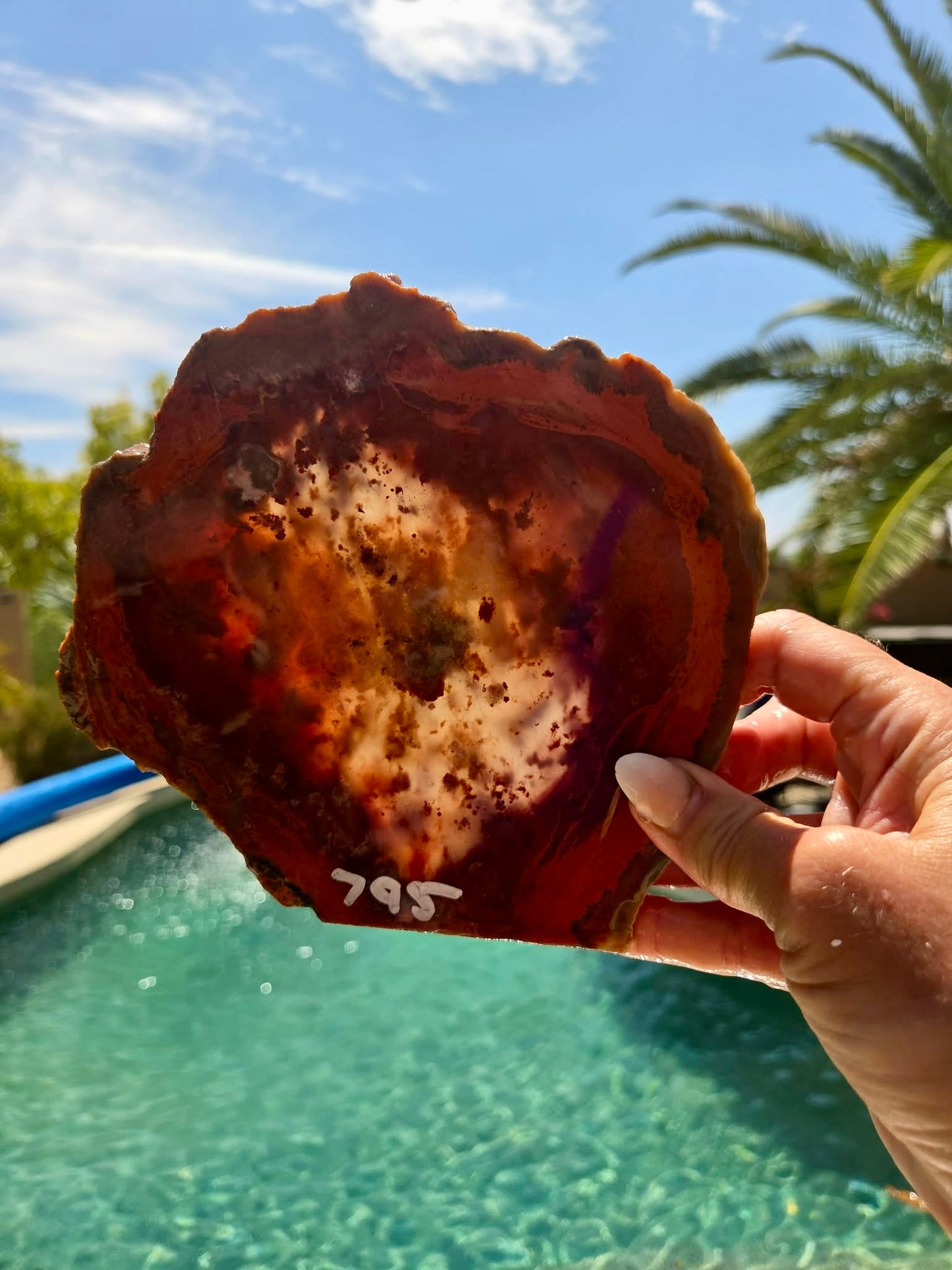 Red Carnelian Fortification Agate Slabs Q794–796