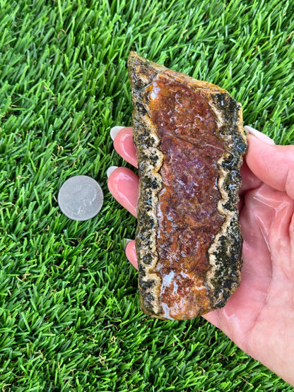 Chihuahua Lace Agate Slabs K530-533