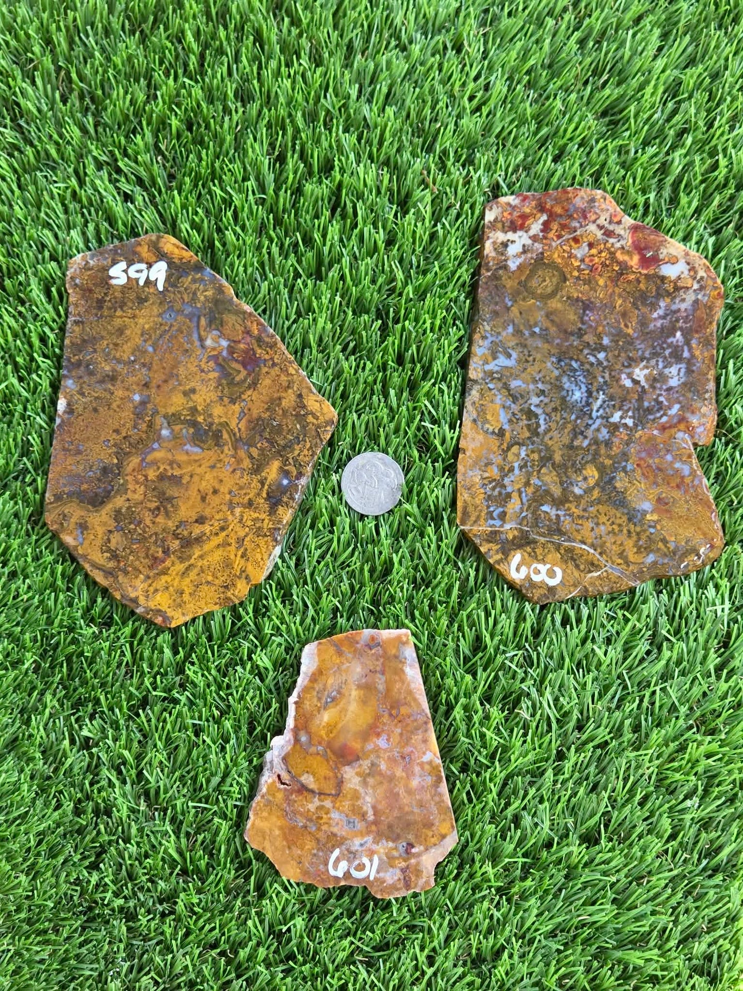 Camp Verde Moss Agate Slabs M599-601