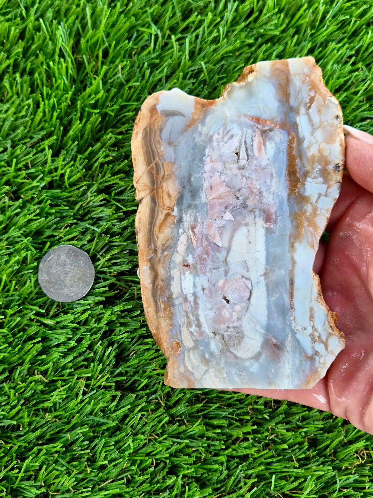 Peach, Cream & Gray Banded Agate Slabs N678-683