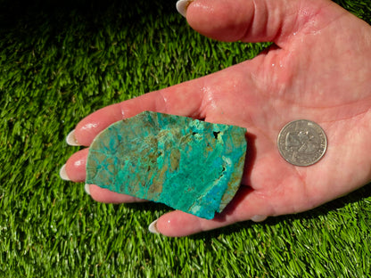 Globe Chrysocolla, Malachite & Quartz Slab Bundle SB 135