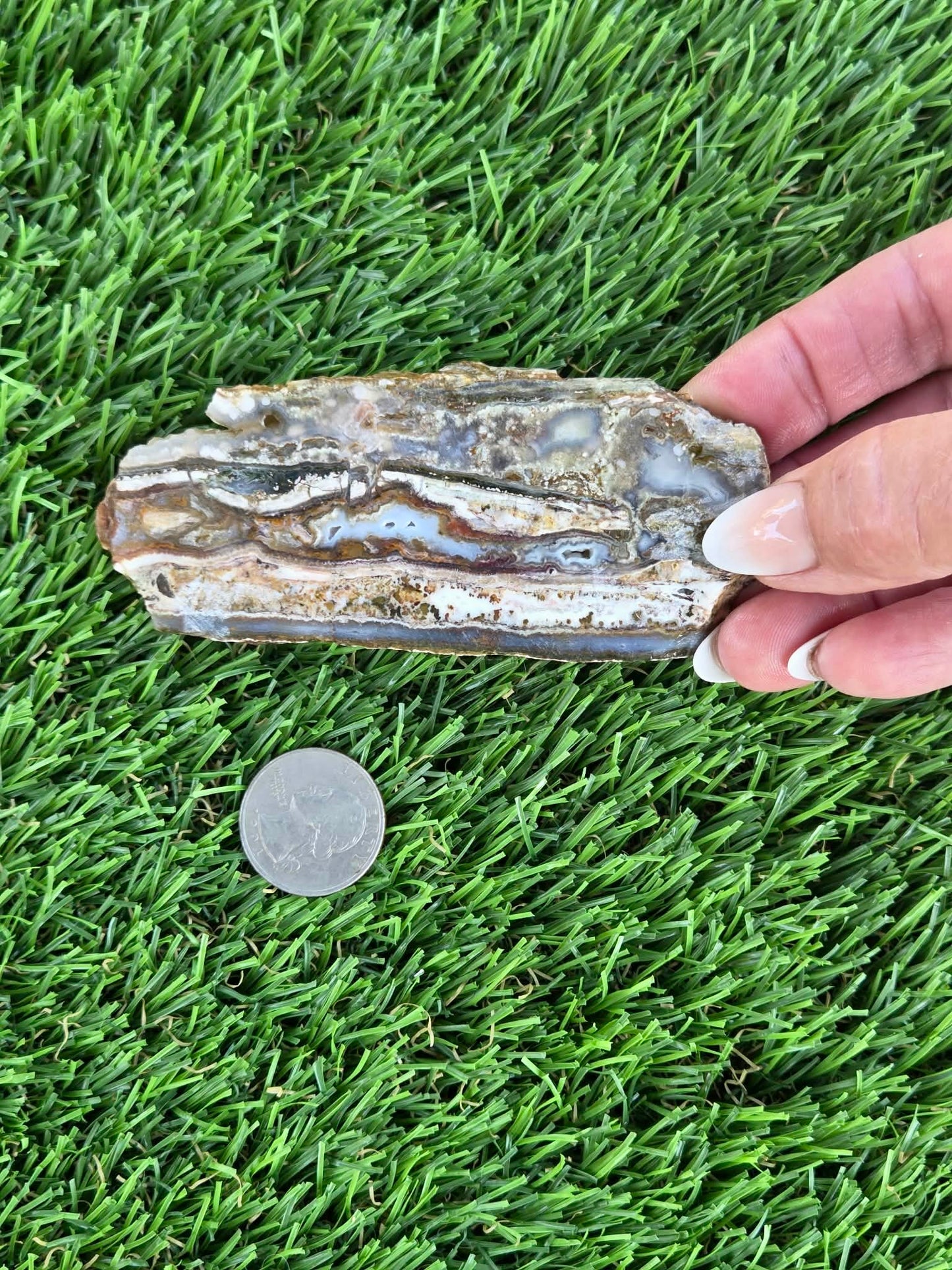 Camp Verde Agate Slabs  K534-537