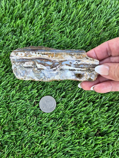 Camp Verde Agate Slabs  K534-537