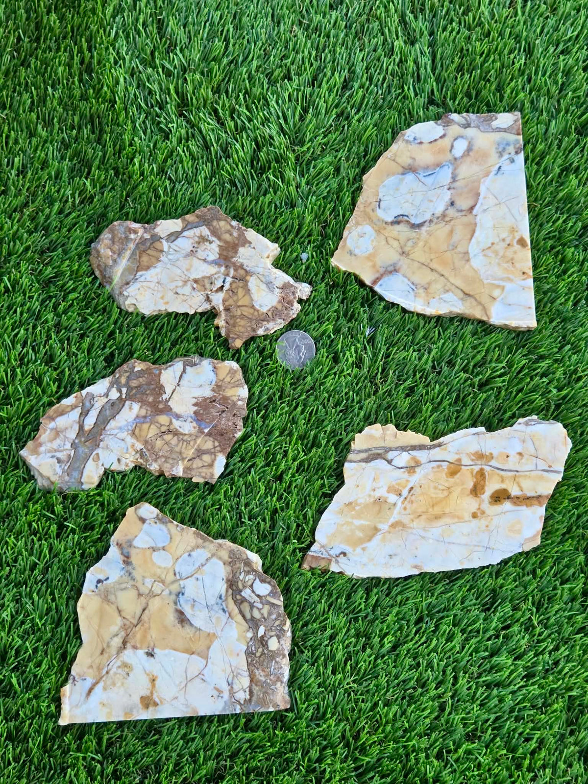 Brecciated Jasper Slabs T917–921