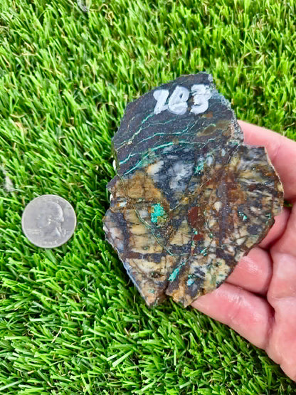 Copper Canyon Chrysocolla Slab 158-165