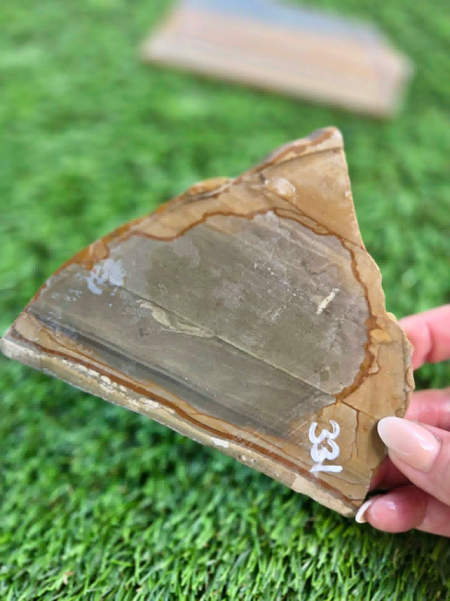 Green Landscape Picture Jasper G330-331