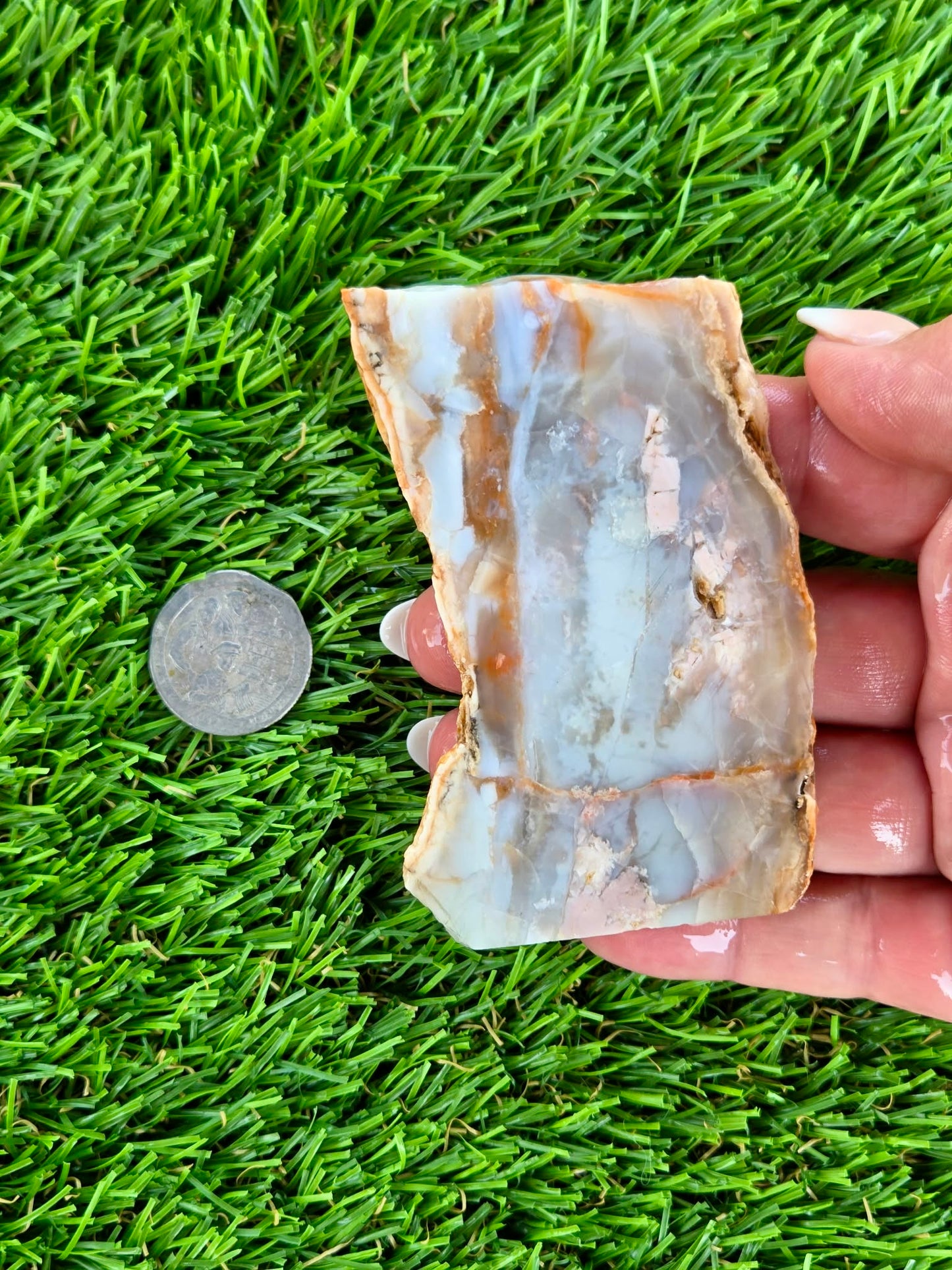 Peach, Cream & Gray Banded Agate Slabs N678-683