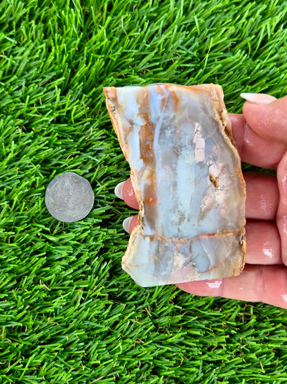 Peach, Cream & Gray Banded Agate Slabs N678-683