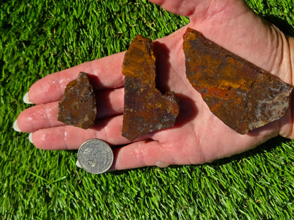 Orange Moss Agate Slab Bundle SB133