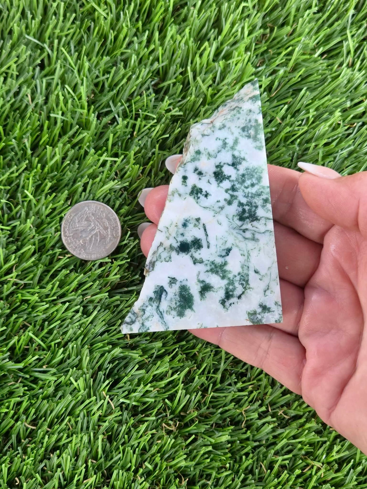 Tree Agate Slabs K523-529