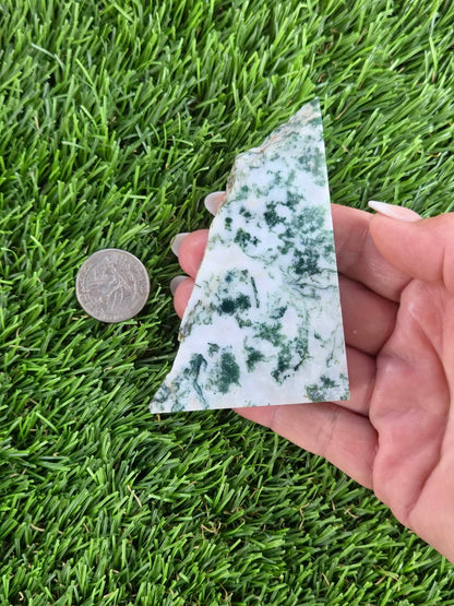 Tree Agate Slabs K523-529