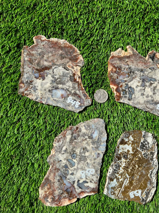Camp Verde Agate Slabs R848–851
