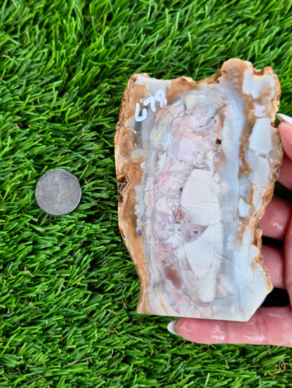 Peach, Cream & Gray Banded Agate Slabs N678-683