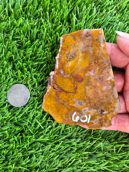 Camp Verde Moss Agate Slabs M599-601