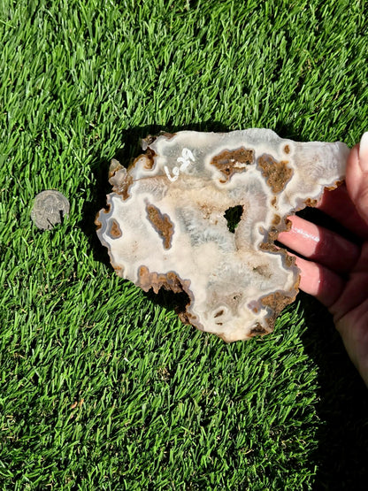 Natural Fortification Agate with Quartz Crystal Druzy Slabs M624-629