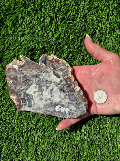 Camp Verde Agate Slabs R848–851