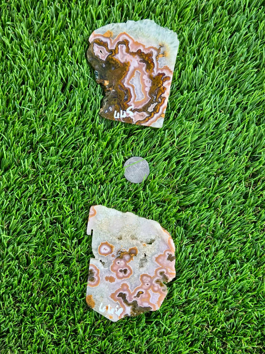 Purple Crazy Lace Agate with Quartz Crystal Slabs N665-666