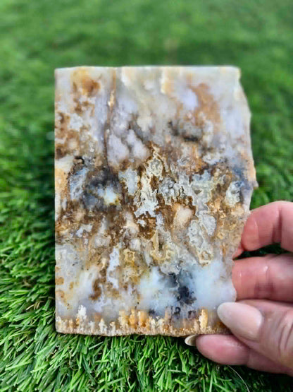 Graveyard Point Plume Agate Slabs G317-322