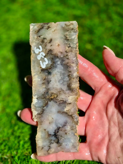 Graveyard Point Agate Slabs H379-384