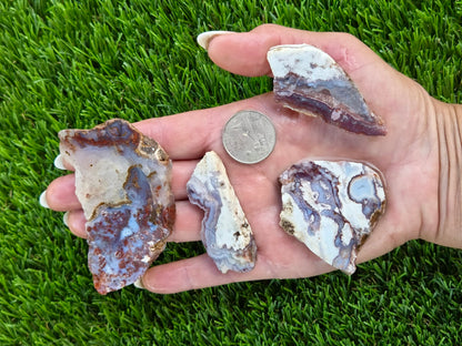 Camp Verde Agate Slab Bundle SB20