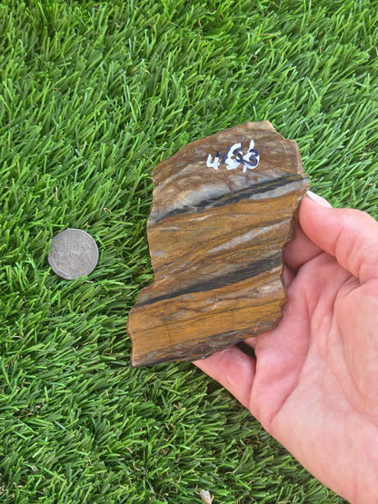 Agatized Petrified Wood Slab I453-458