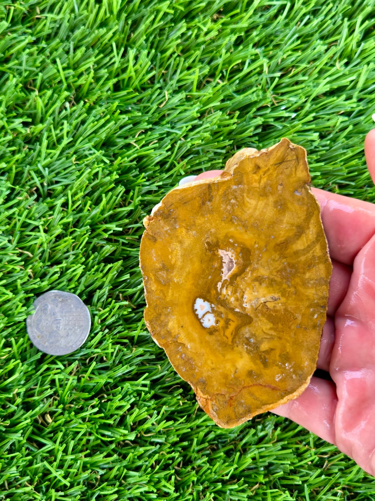 Mustard Picture Jasper Slabs N673-677