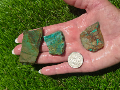 Globe Chrysocolla Slab Bundle-SB65