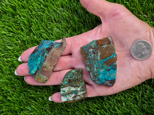 Globe Chrysocolla Slab Bundle-SB53